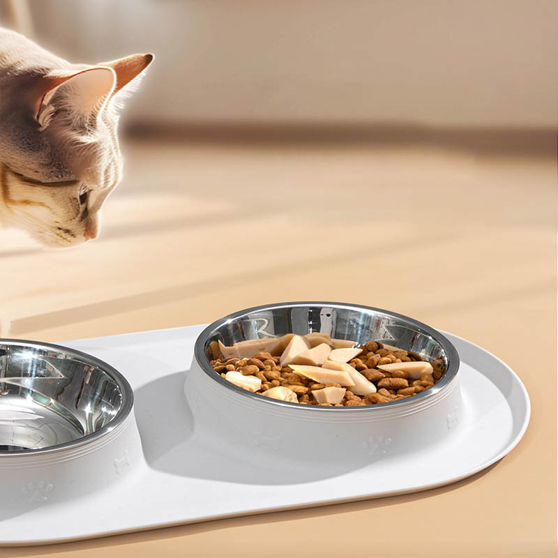 dog feeding bowl